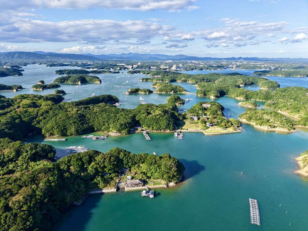 伊勢志摩の海辺で自然体験をする子どもたち